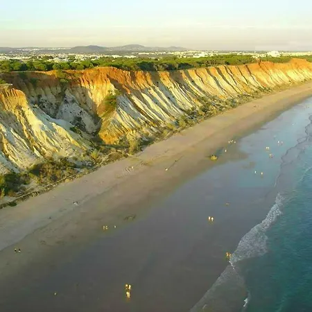 Iconic With 2 Bedrooms *