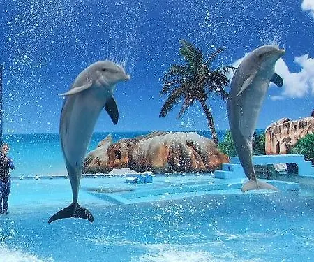 Iconic With 2 Bedrooms * Albufeira